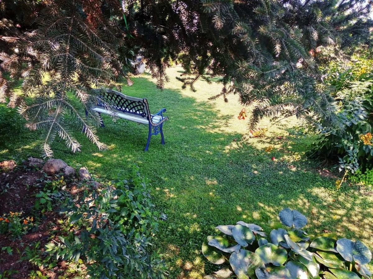 Villa Axiothea Nemea エクステリア 写真